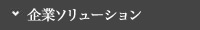 企業ソリューション